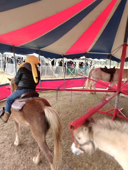 Clay Fair Rv Park 5