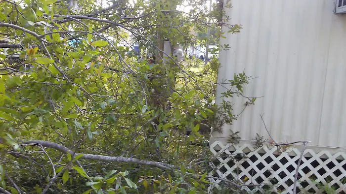 Napoli Mobile Home Park LLC 9