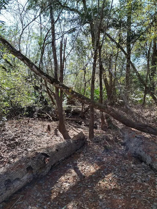 Maple Set Campground 3