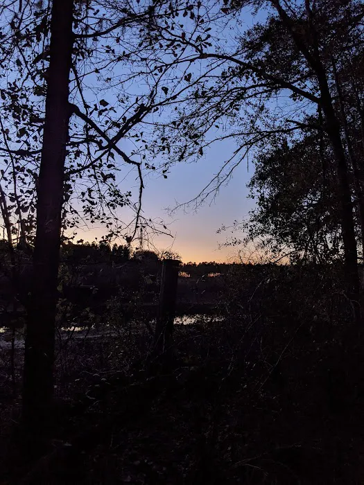 Maple Set Campground 4