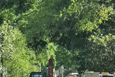 Americana Mobile Home Park