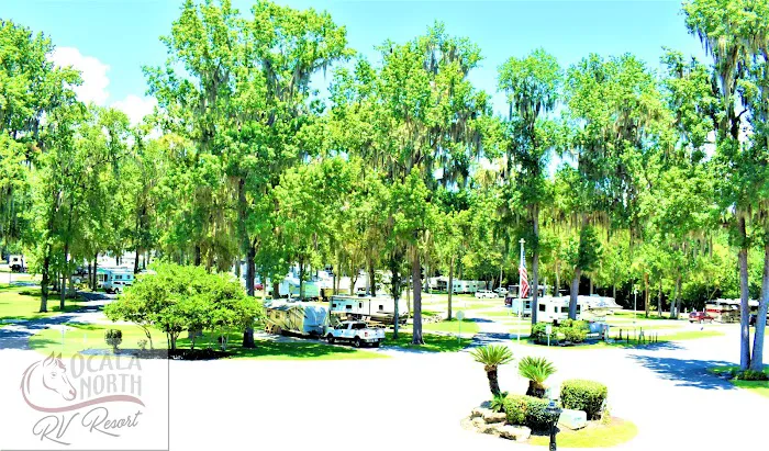 Ocala North RV Resort 6