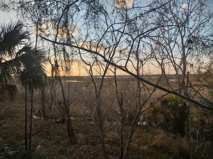 Citra Royal Palm RV Park 2