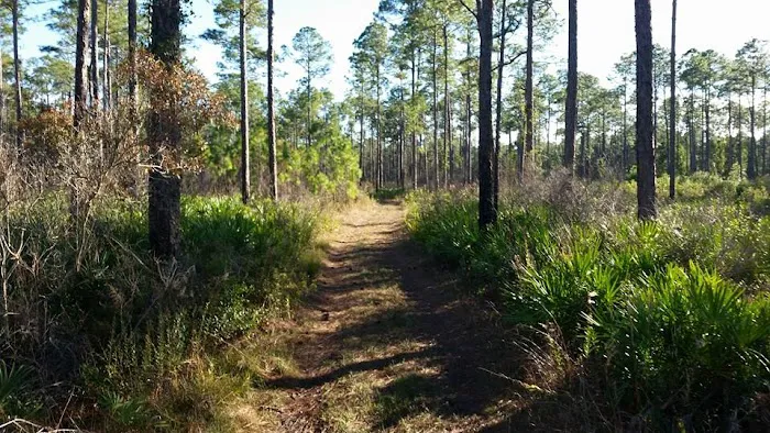 Goethe Trailhead Ranch RV Campground 10