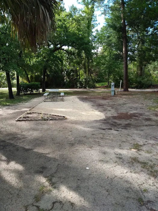 Village Pines RV Campground & Mobile Home Community 3