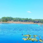 Camp Seminole Springs