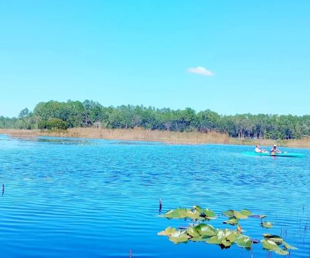 Camp Seminole Springs