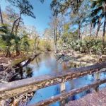 Quad Palms Rad Ranch