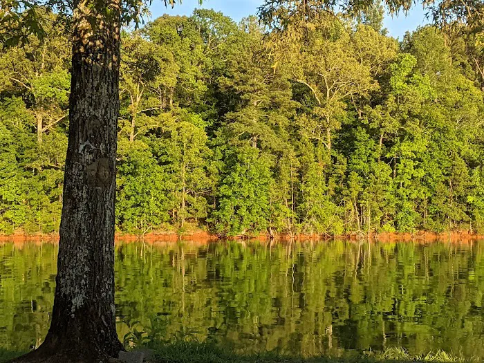 Dames Ferry Campground 10
