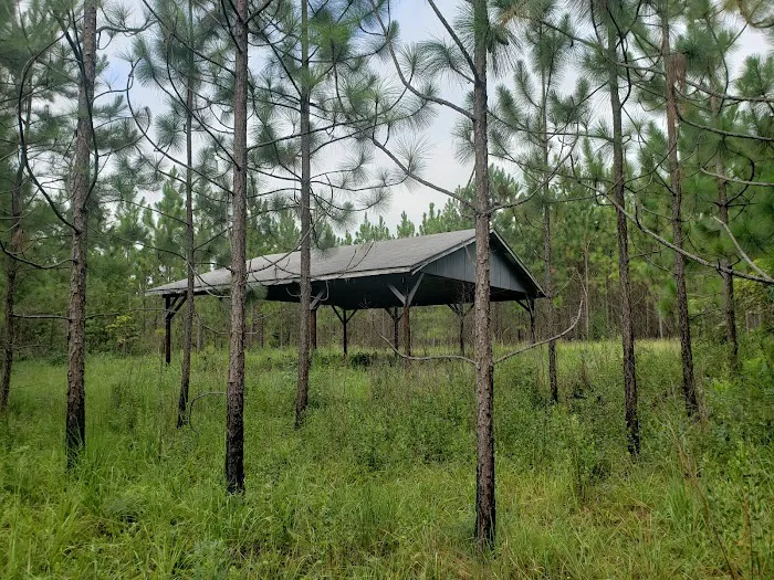 Rum Creek Camping 4
