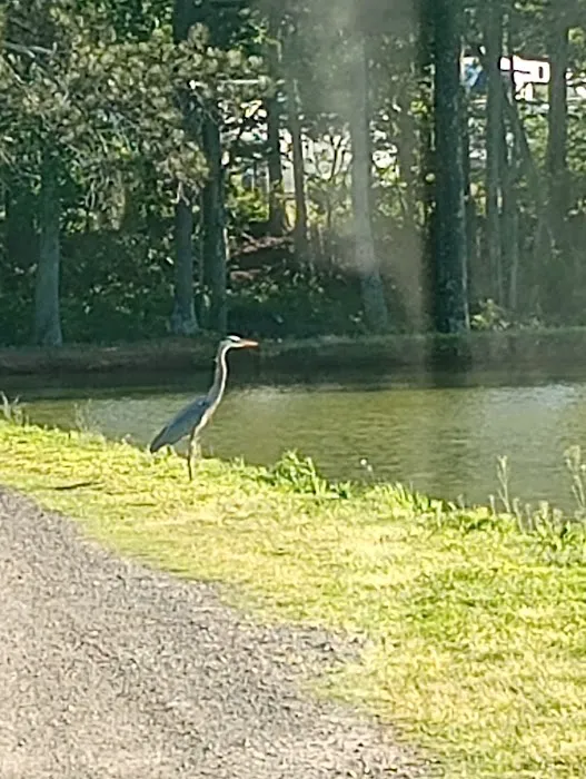 Heart of Georgia RV Park 10