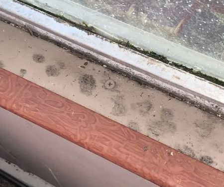 Allen Memorial Mobile Home Park