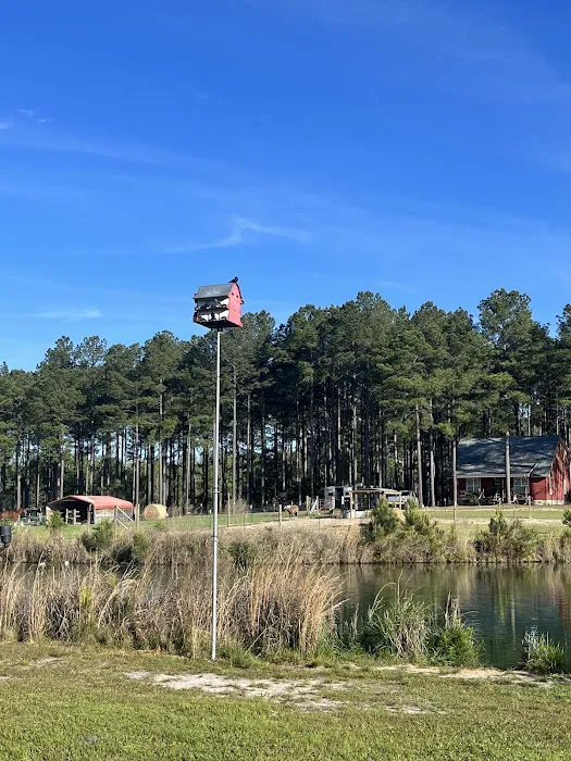 Camp South RV Park 6