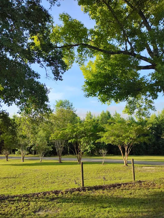 Coleman Estates 1