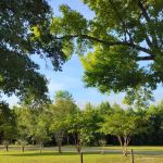 Coleman Estates