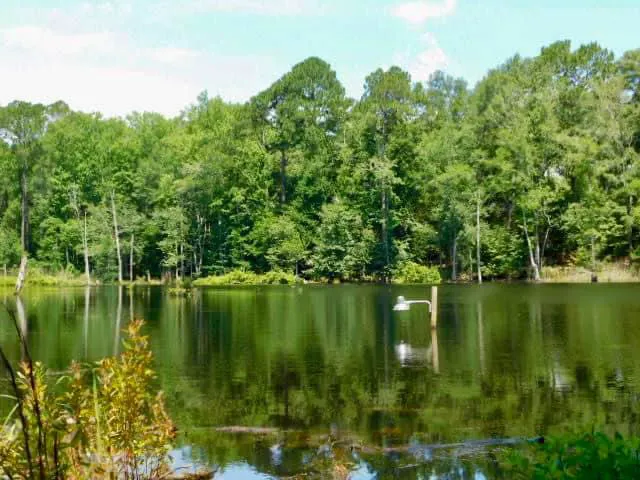 Bear Branch RV Park & Wildlife 4