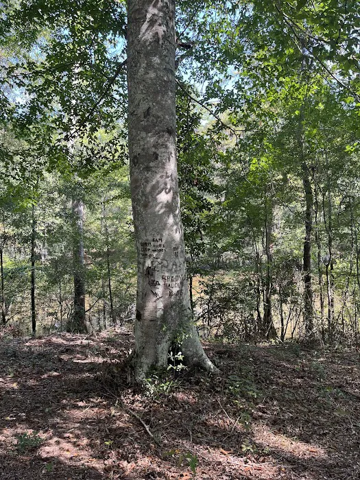 Coleman Lake Campground 4
