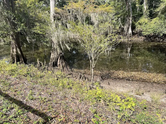 Coleman Lake Campground 7