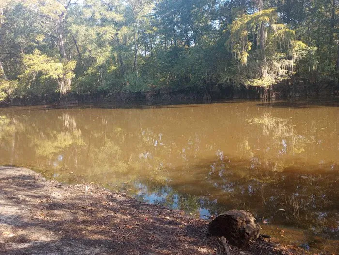 Coleman Lake Campground 9