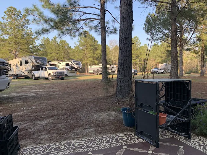 Shady Pines RV Park 3