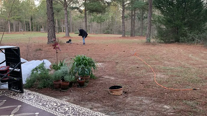Shady Pines RV Park 2