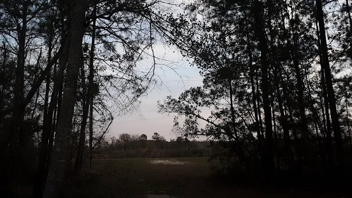 Tattnall Campground 3