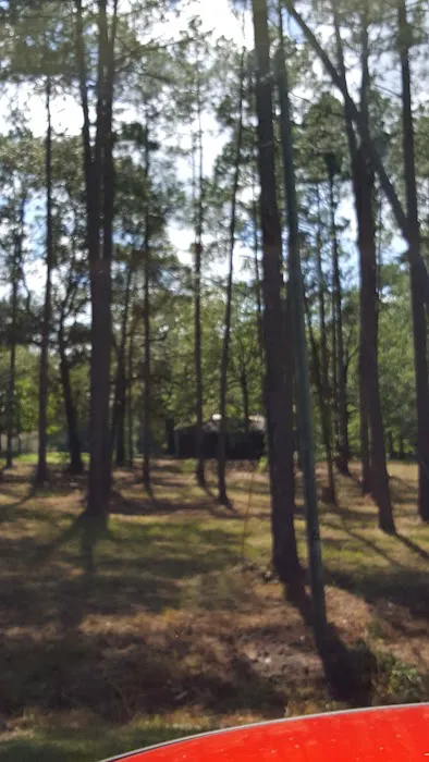 Tattnall Campground 5