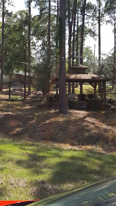 Tattnall Campground 7