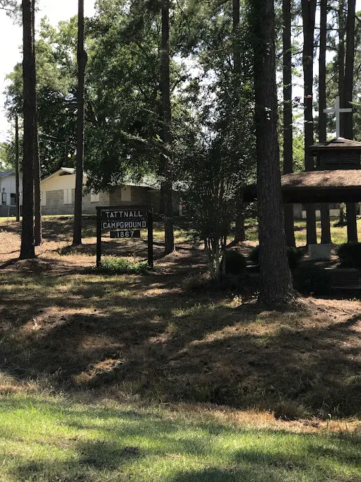 Tattnall Campground 8