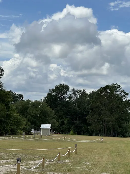 Pecans and Pines RV Park 2