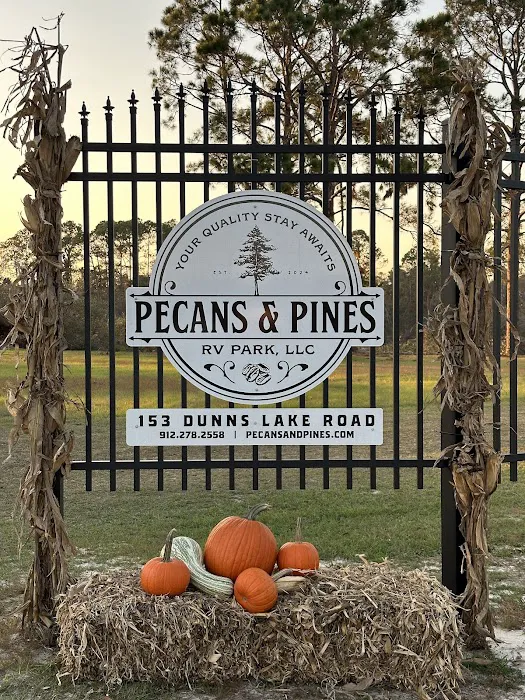 Pecans and Pines RV Park 4
