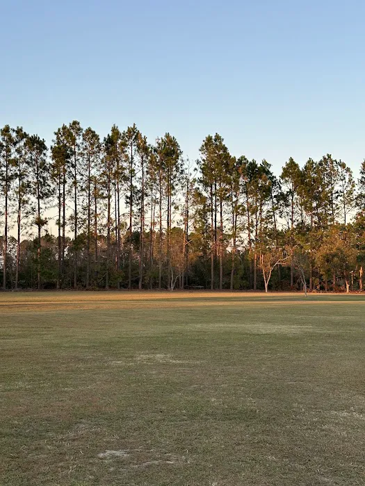 Pecans and Pines RV Park 7