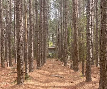 Veracruz Camp Ground GA