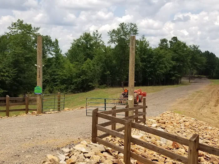 Newmor River Preserve RV Park & Cabin Rental 7