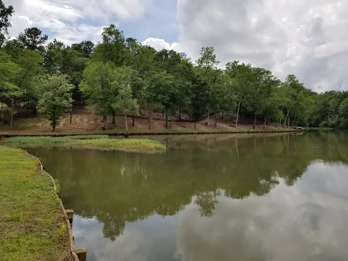 Newmor River Preserve RV Park & Cabin Rental 4