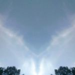 Birditt's Mobile Home & RV