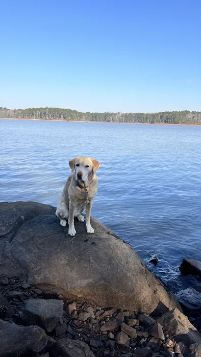 Schaefer Heard Campground 3