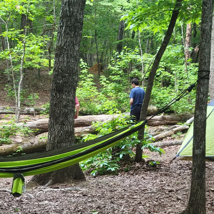 Turtle Hollow Campsite 2