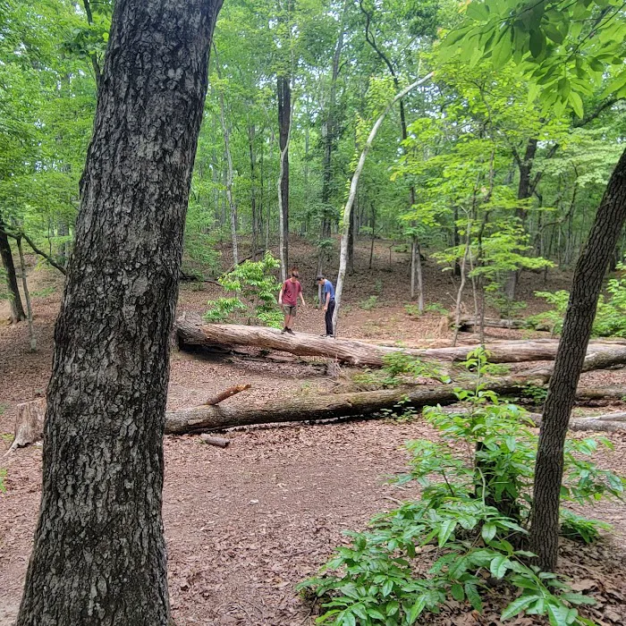 Turtle Hollow Campsite 1