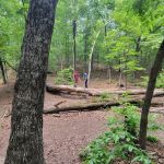 Turtle Hollow Campsite