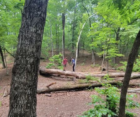 Turtle Hollow Campsite