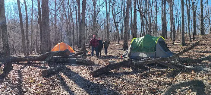 Turtle Hollow Campsite 10