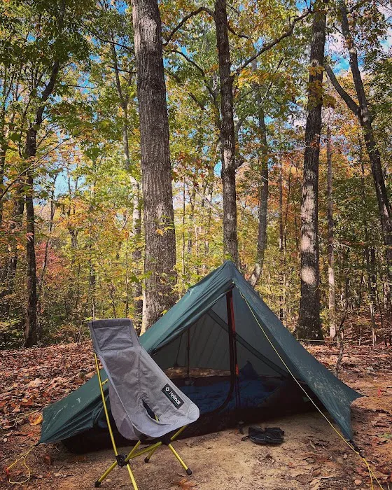 Jenkins Springs Campsite 3