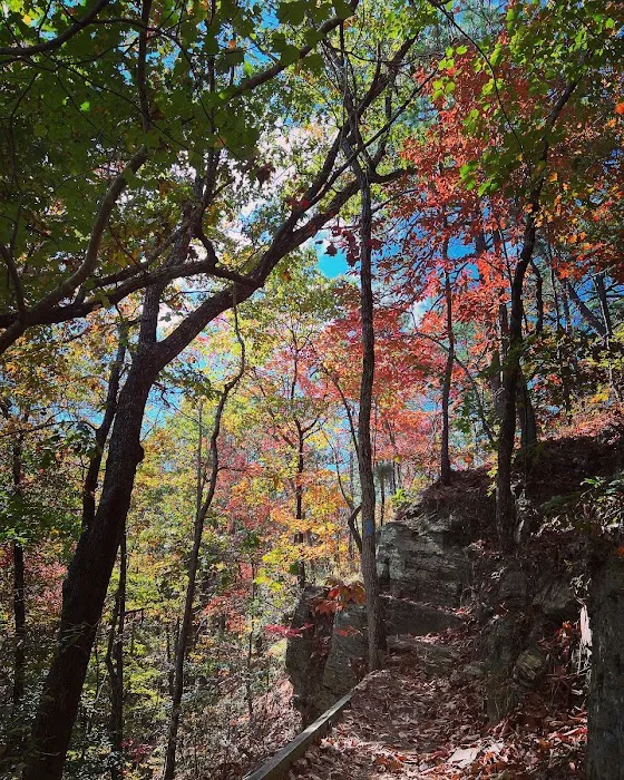 Jenkins Springs Campsite 2