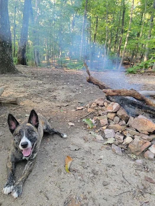 Jenkins Springs Campsite 6