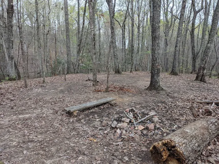 Jenkins Springs Campsite 8