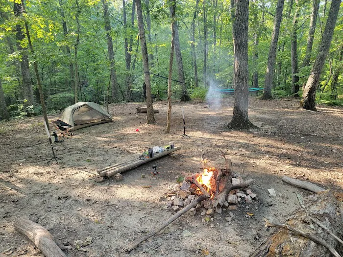 Jenkins Springs Campsite 10