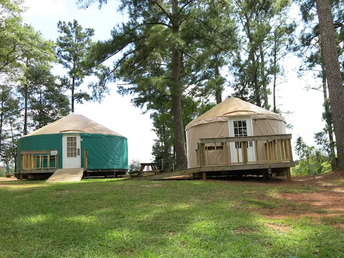 Pine Mountain RV Resort 7