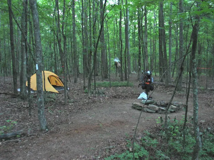 Big Oak Springs Campsite 1