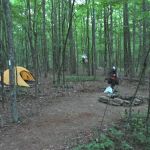 Big Oak Springs Campsite